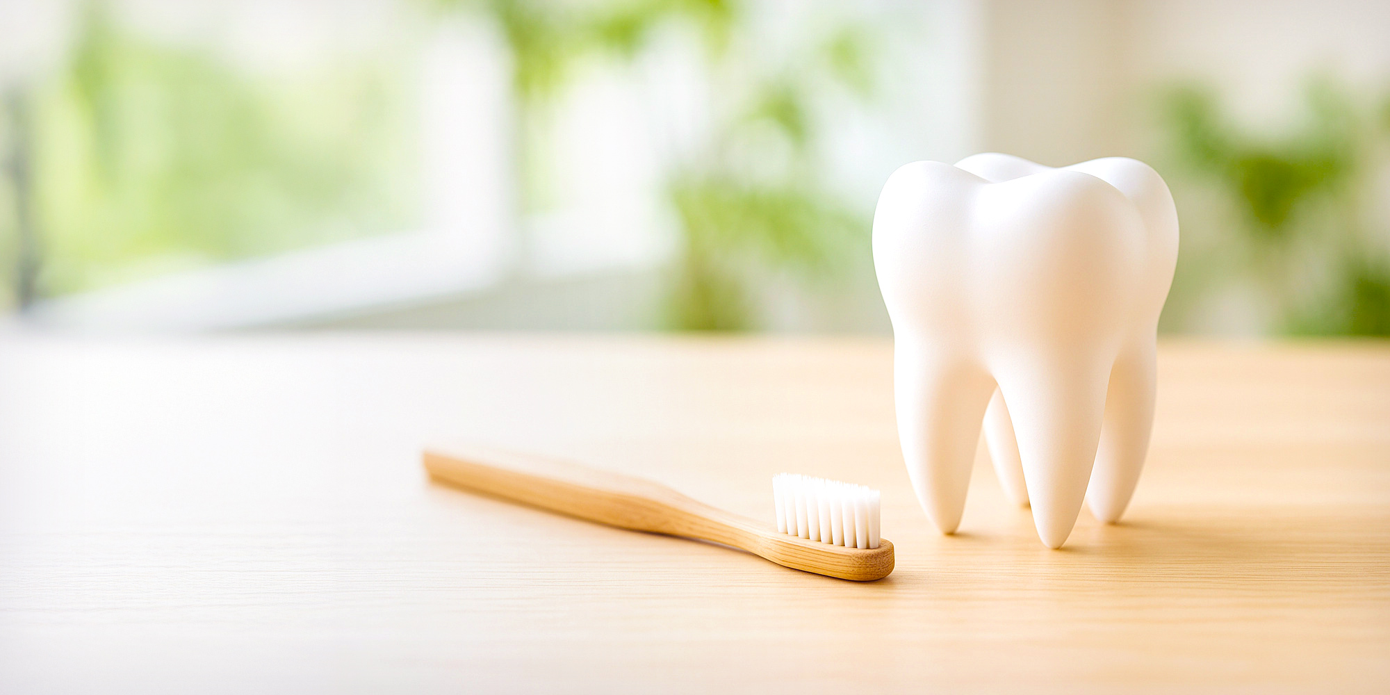 医療法人社団鈴木歯科医院